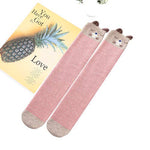 El Regalo Cartoon Warm Cotton Calf Length Socks/Tights for Girls/Kids (Pink White Stripe) | Kids High Knee Socks