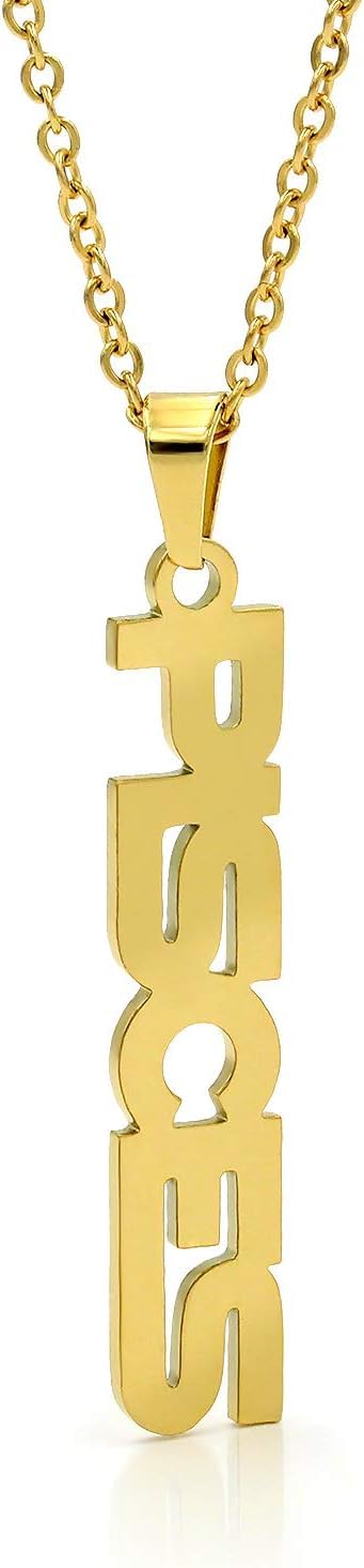 El Regalo 1PC Stainless Steel Zodiac Sign Unisex Pendant Necklace- Anti Tarnish 12 Vertical Zodiac Name Necklaces Horoscope Birth Star Sign (Pisces)