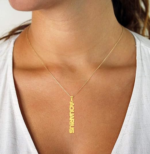 El Regalo 1PC Stainless Steel Zodiac Sign Unisex Pendant Necklace- Anti Tarnish 12 Vertical Zodiac Name Necklaces Horoscope Birth Star Sign (Aquarius)