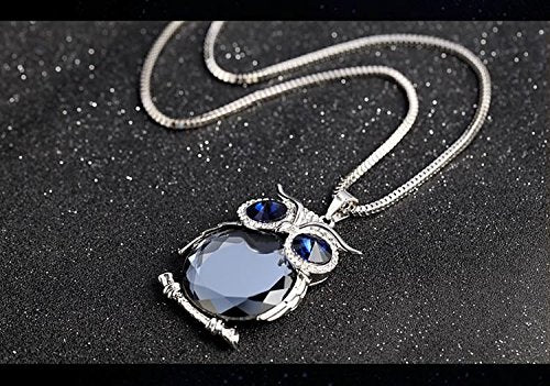 El Regalo Trendy & Long Owl Pendant Chain Necklace for Girls & Women | Owl Jewelry (Gray)