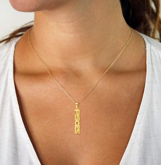 El Regalo 1PC Stainless Steel Zodiac Sign Unisex Pendant Necklace- Anti Tarnish 12 Vertical Zodiac Name Necklaces Horoscope Birth Star Sign (Pisces)