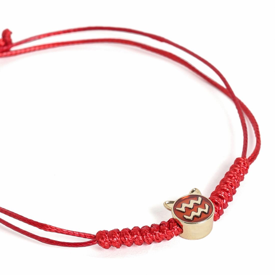 El Regalo 1 PC Zodiac Signs/Sun Signs Red Thread Bracelet Rakhi for Bhai/Brother/Niece or Nephew - Zodiac Sign Rakhi, Roli-Chawal Shagun, Rakhi Message Card in Rakhi Box (Aquarius Rakhi)