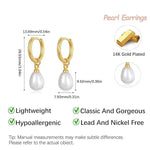 El Regalo Stainless Steel Pearl Drop Hoop Earrings for Women | Small Huggie Hoop Earrings with Pearl Pendant | Waterproof Anti Tarnish Modern Earrings for Girls | Minimalist Cute Jewelry (Gold)
